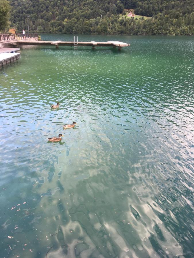 Casa A Schiera Fronte Lago Con Giardino Барчис Экстерьер фото